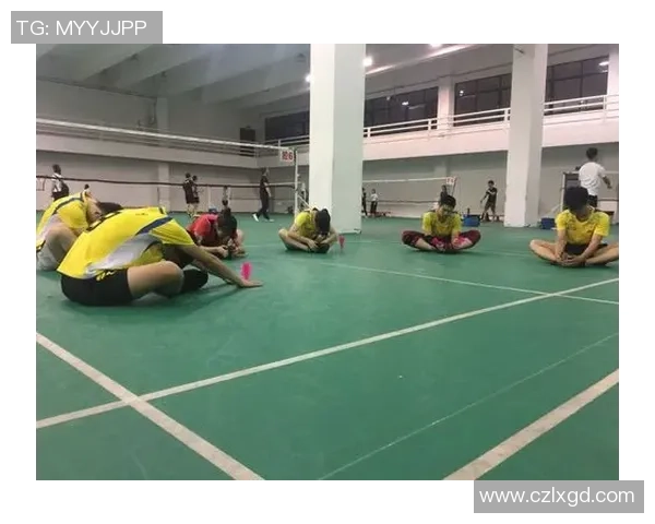 杭州羽毛球队逆袭之路揭秘挑战赛中的拼搏与荣耀