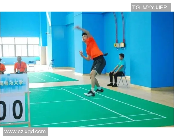 深入分析西安羽毛球队区域防守战术的特点与应用策略