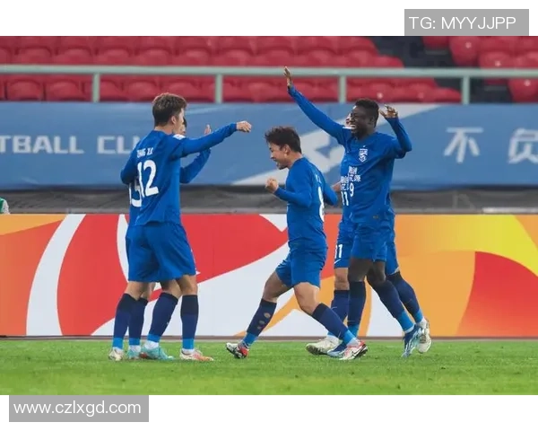 武汉足球队在锦标赛中的团队协作表现分析与点评