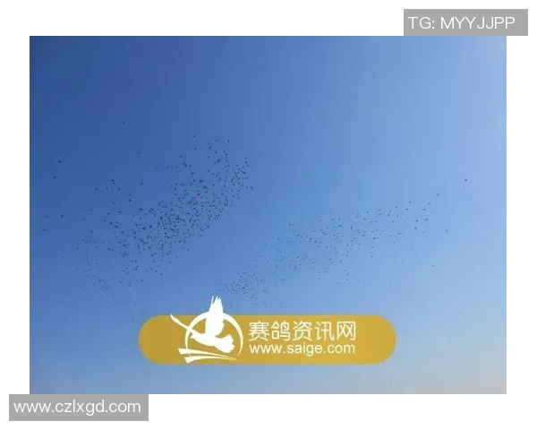 深度对话吴伟如何在和平精英中追寻梦想与成长的故事